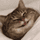 brattydivinist