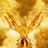 raolin_fenix