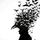 dekuscrub77