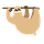 spagettification