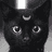 moonkitten