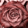 rose_gold8414