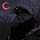 blackhunter4