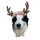 kzerot