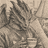 dagon7272