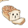Awkward Sheep