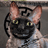 justleo3237