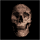 hasty_116