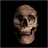 hasty_116