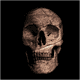 hasty_116