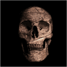 hasty_116