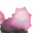 Asticon