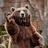 justavi_