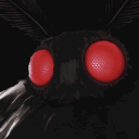 toonient