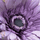 aunt_lysia