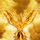 raolin_fenix