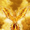 raolin_fenix