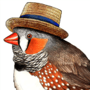 Robin DM of The Cursed District