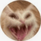 °~Owl~°