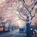 Kaito Kiyomi [Surin]