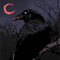 blackhunter4