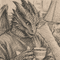 dagon7272