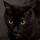 pixel_ate_it