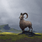 the_lonely_goat