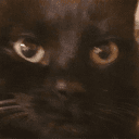 Captain Kek [Alice / ? ? ?]