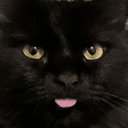 fluffy_tigress