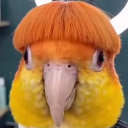 flipper0000