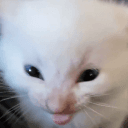 keke_4772