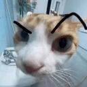 keke_4772