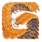 malardos2