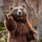 justavi_