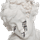 clownsteady