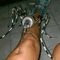 2poin_1
