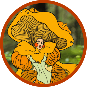 Chantrelle