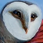 Hoolian Snowfeather